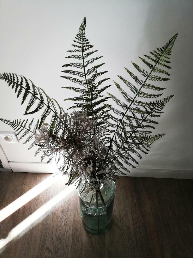 Les Insolites De Champeix Luaran gambar